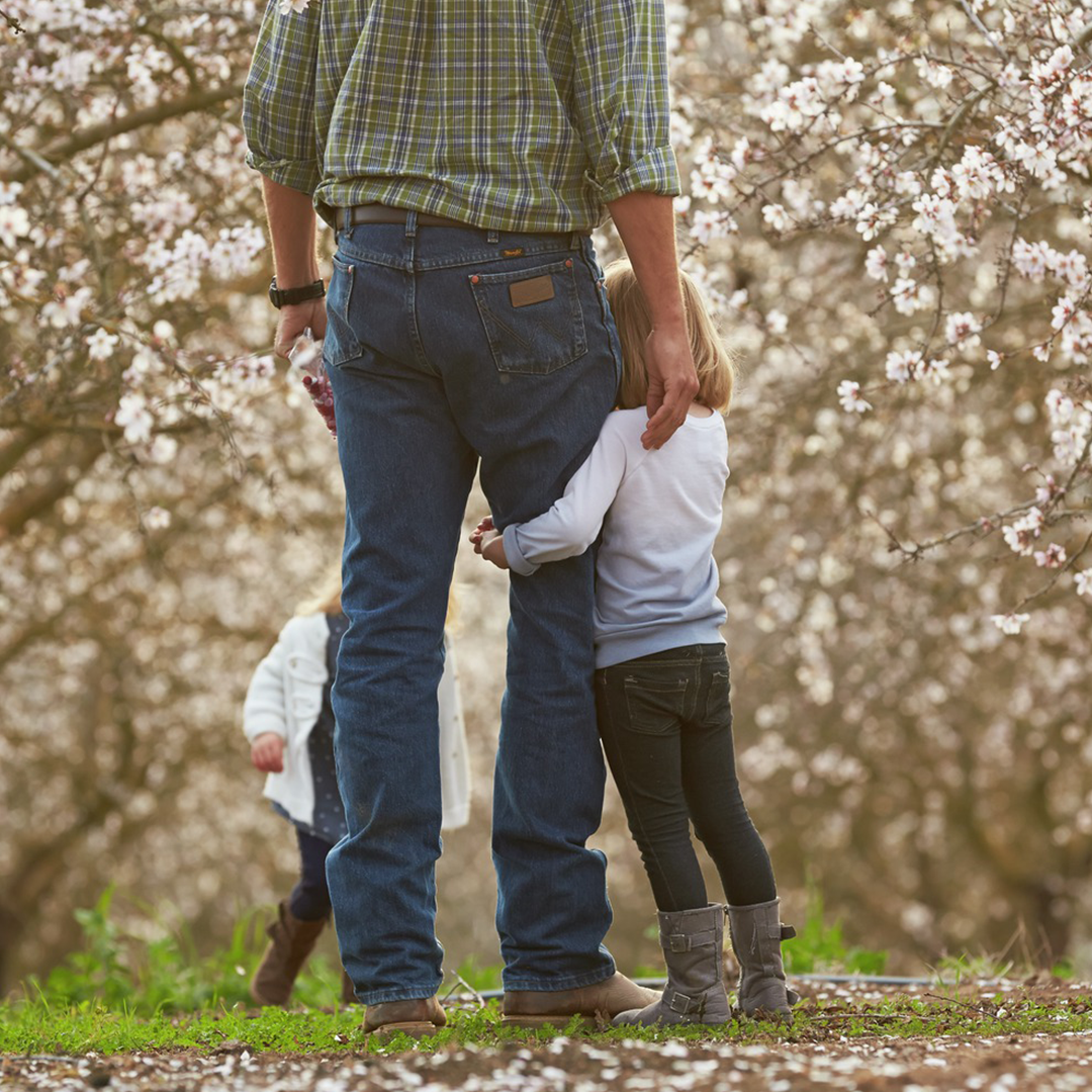 Almond Blossom Cruise