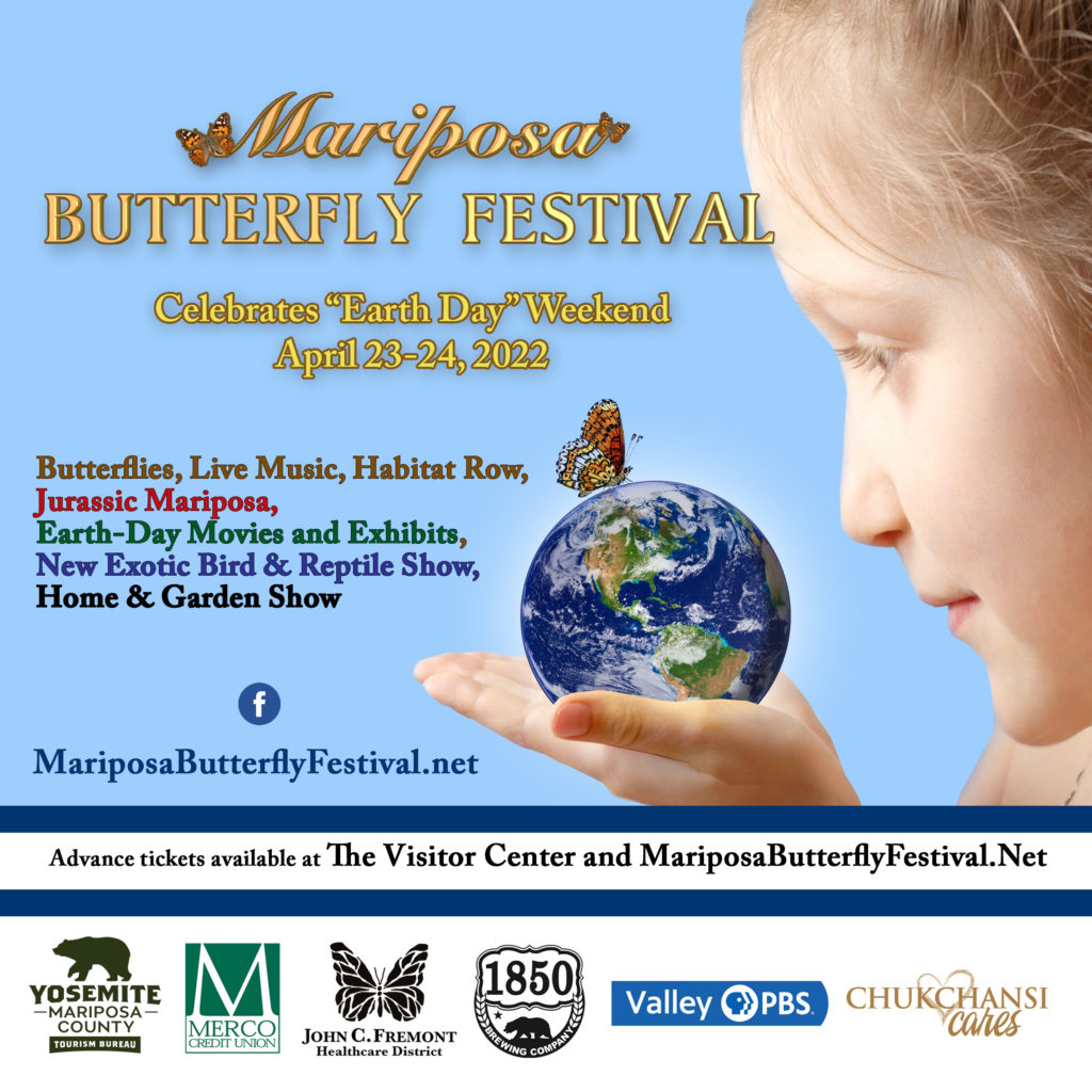 Mariposa Butterfly Festival Visit Modesto