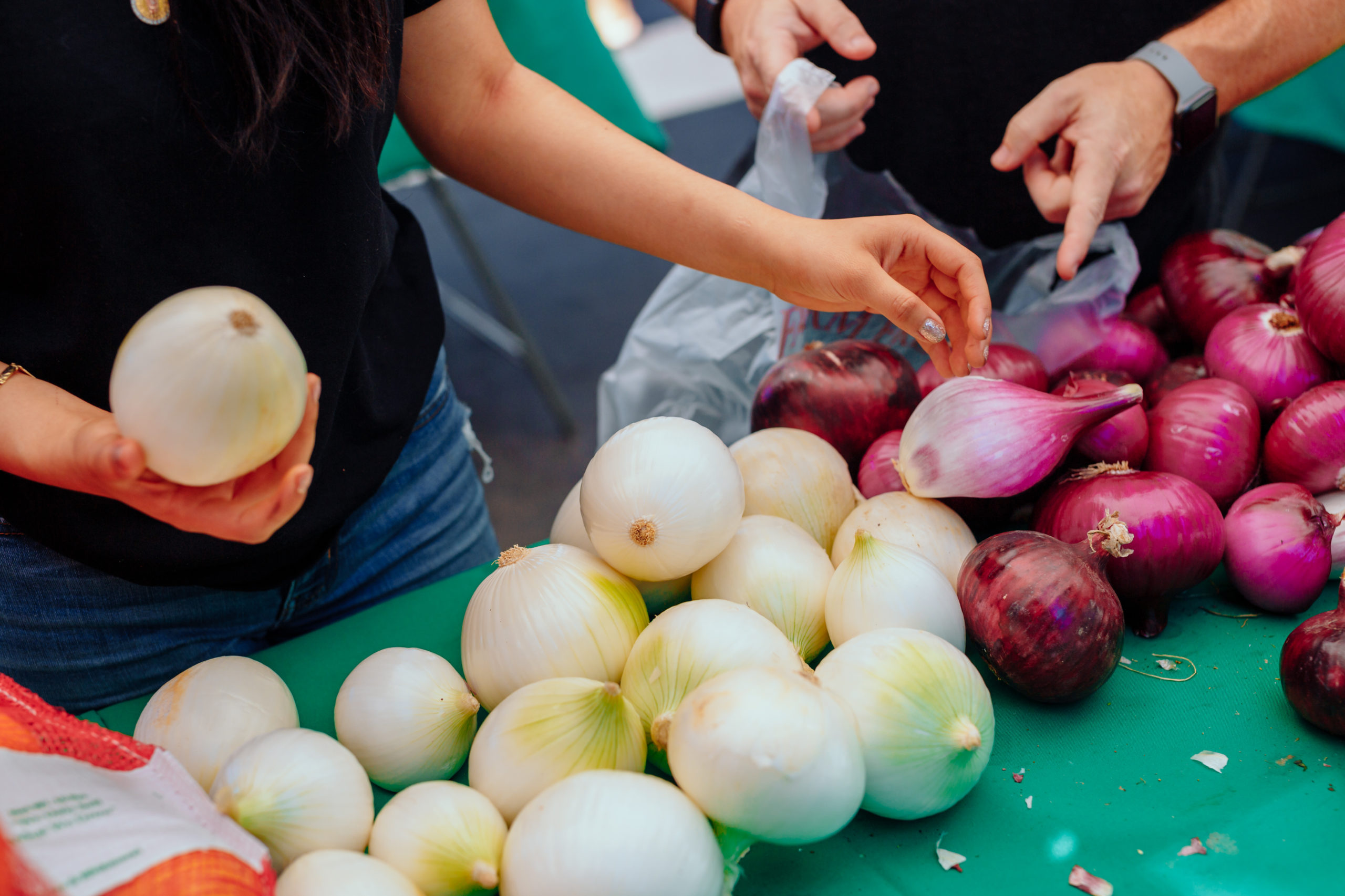 The Modesto Farmers Market