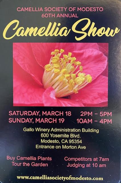 60th Annual Camellia Show