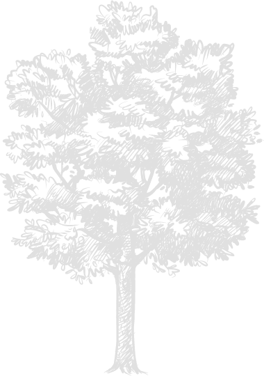 Asset 9