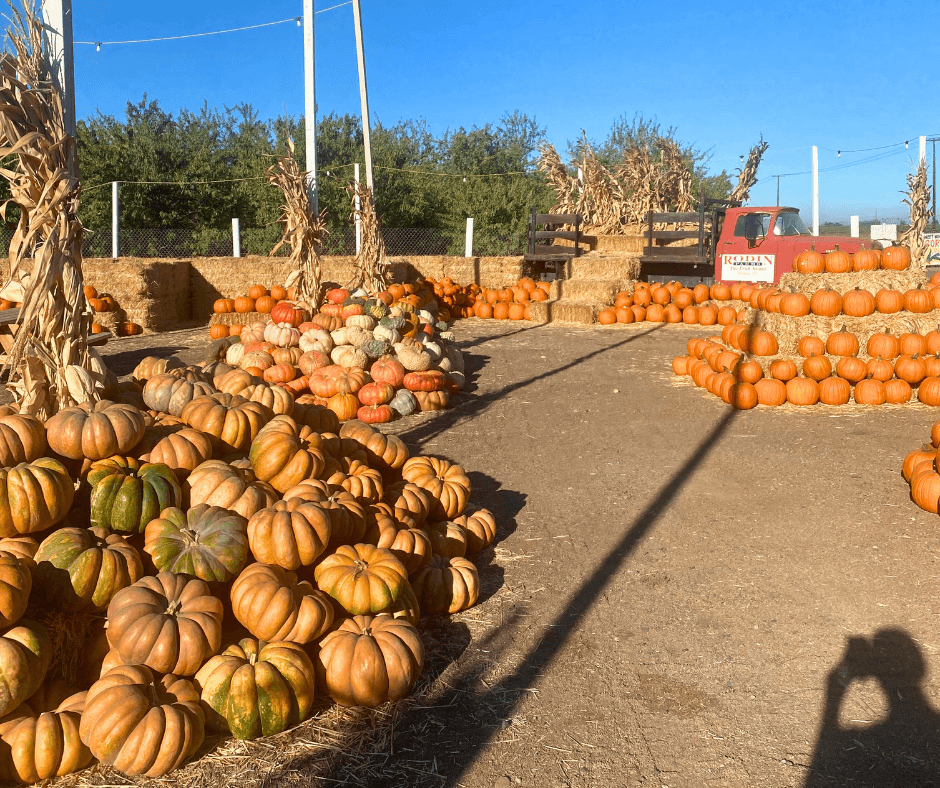 Fall Events and Activities in Modesto California