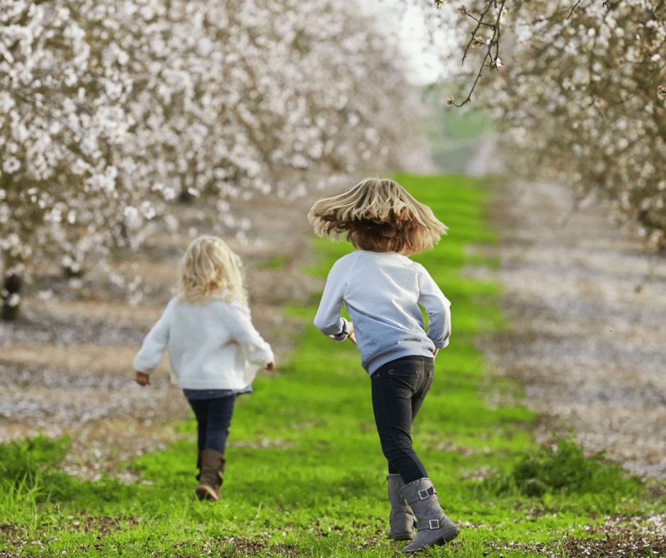 Family Activities During the Almond Blossom Cruise