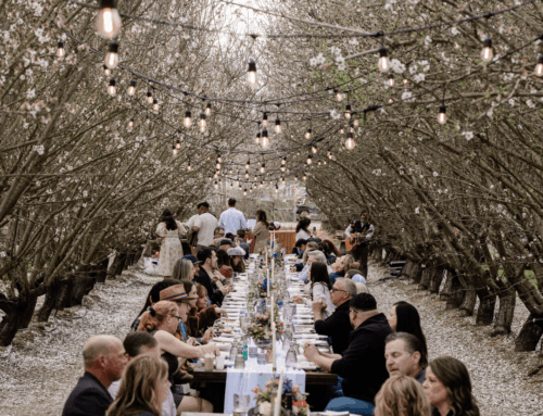 15 Unique Experiences During the Almond Blossom Cruise (Updated 2026)