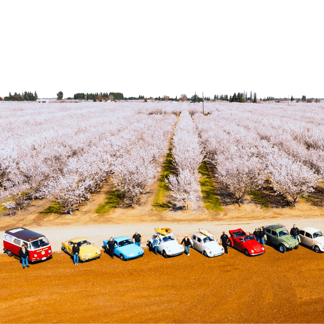 15 Unique Experiences During the Almond Blossom Cruise (Updated 2026)