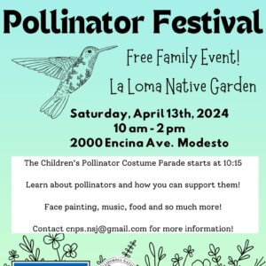 4th Annual Pollinator Festival