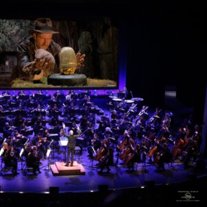 MSO: Indiana Jones and the Raiders of the Lost Ark™ Live in Concert MSO: Indiana Jones and the Raiders of the Lost Ark™ Live in Concert