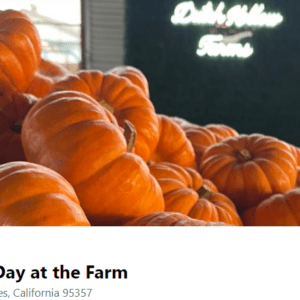 PUMPKIN PATCH OPENING DAY