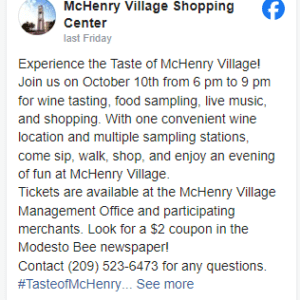 Taste of McHenry Village