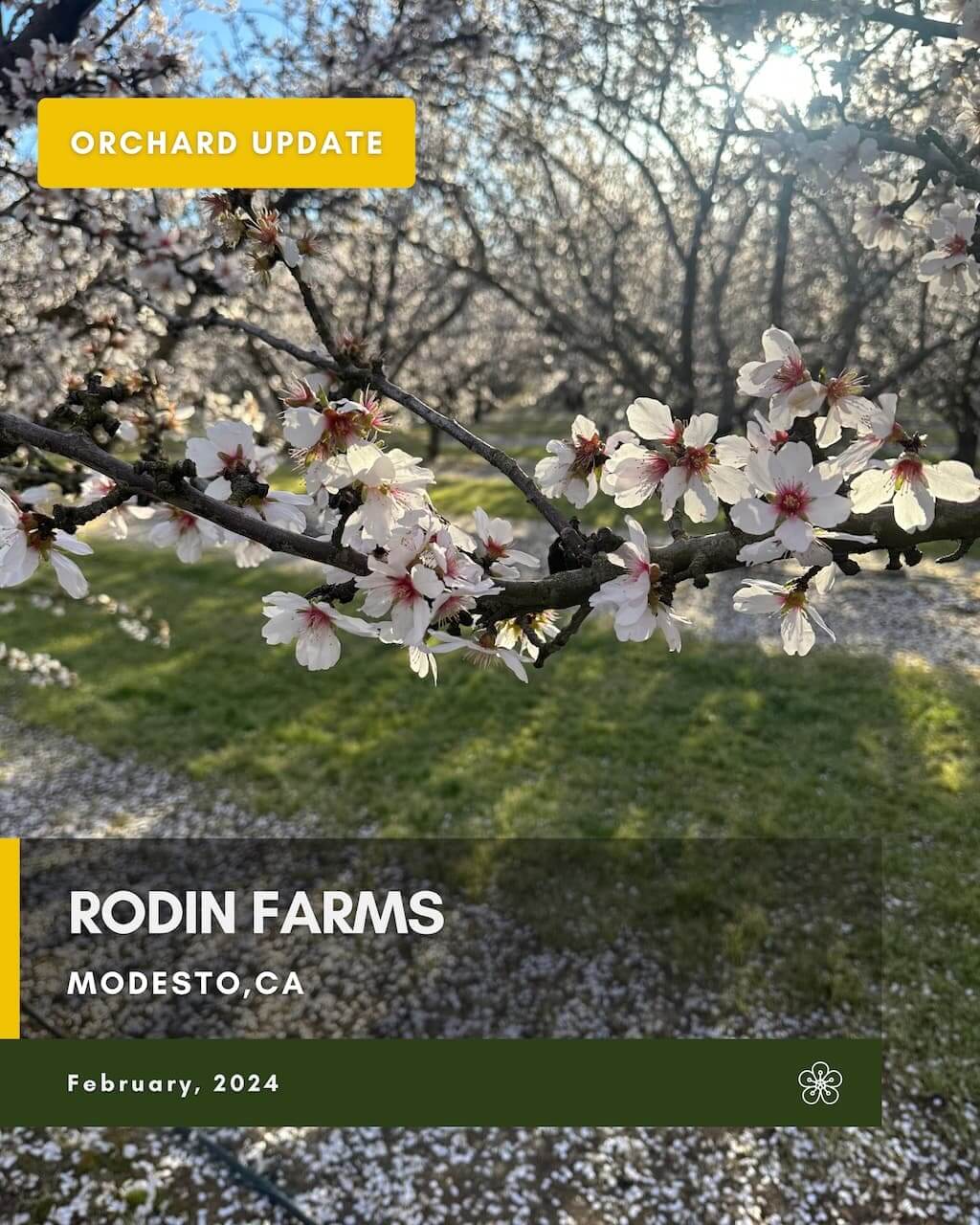 Rodin Farms