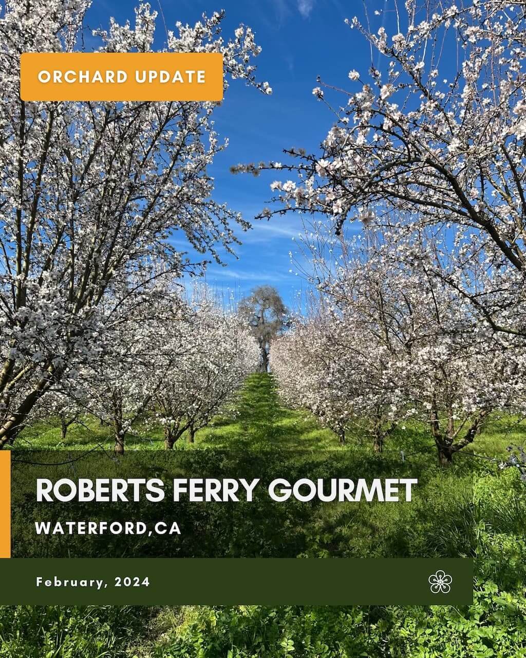 Roberts Ferry Gourmet