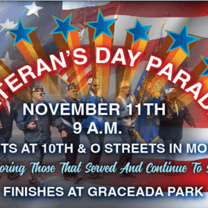 Veterans Day Parade