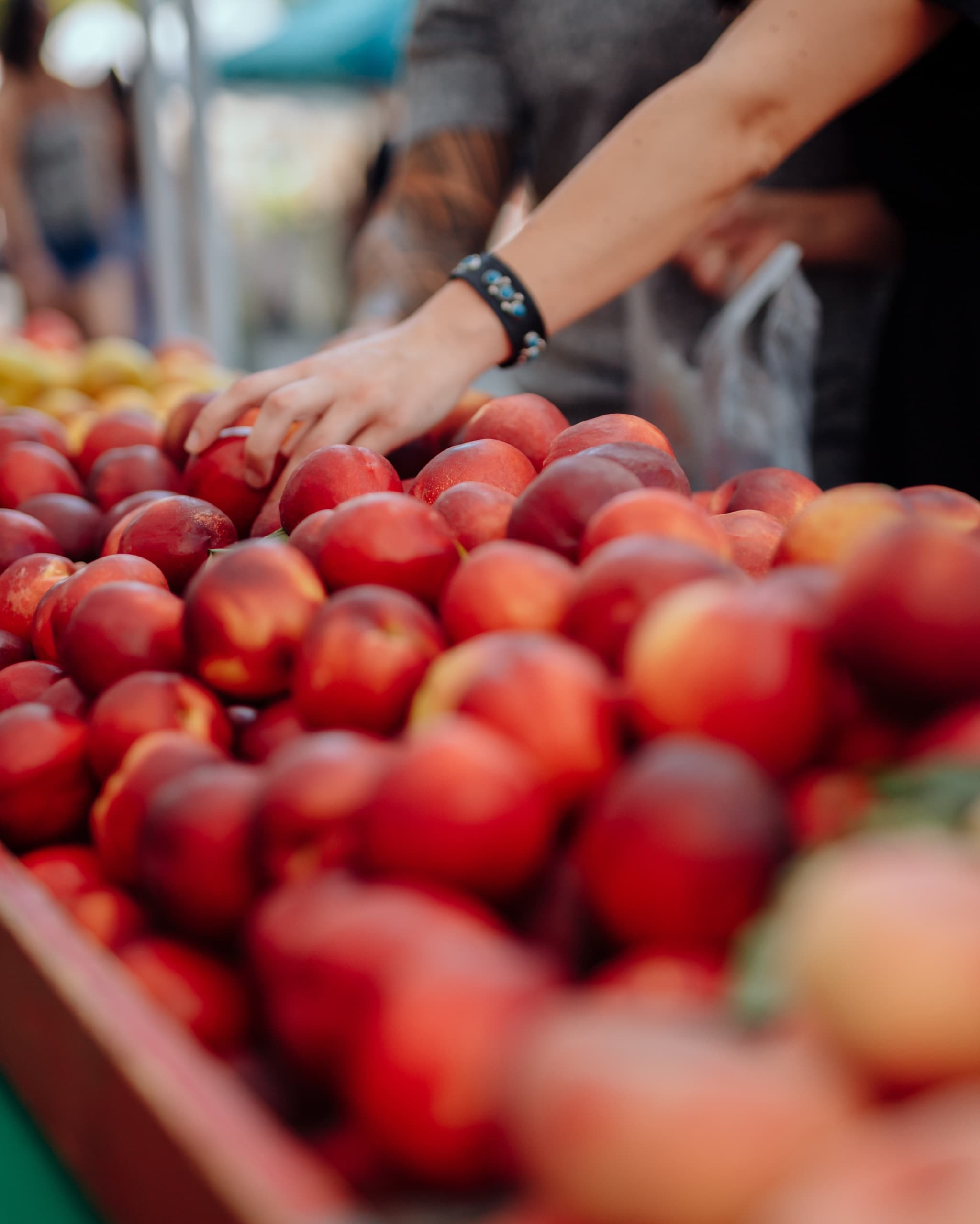 Modesto Fruit in season