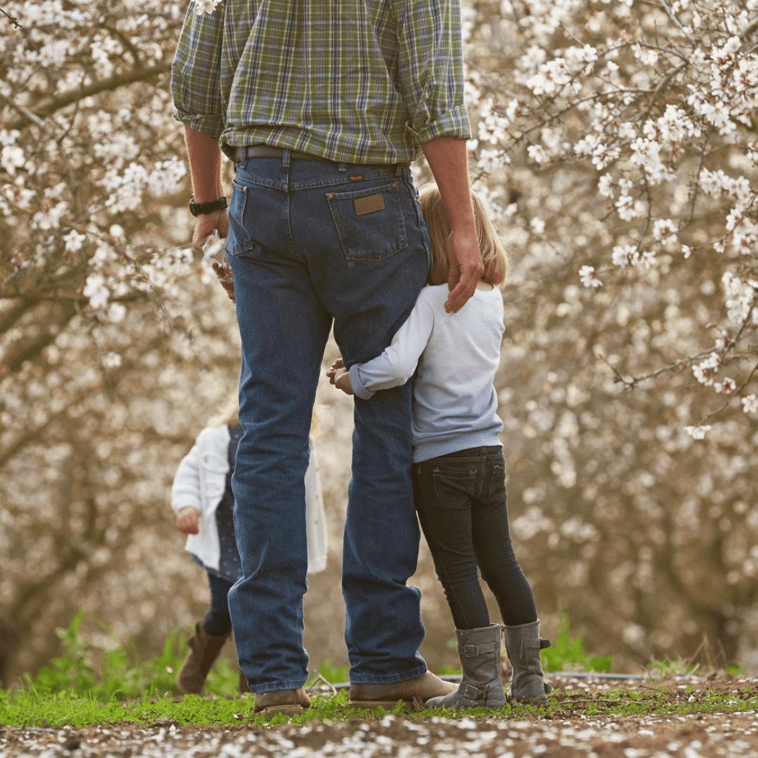 Best Photo Spots During the Almond Blossom Cruise