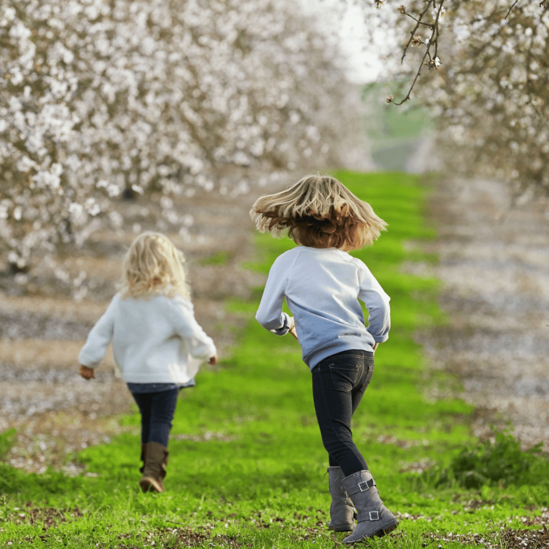 Best Photo Spots During the Almond Blossom Cruise