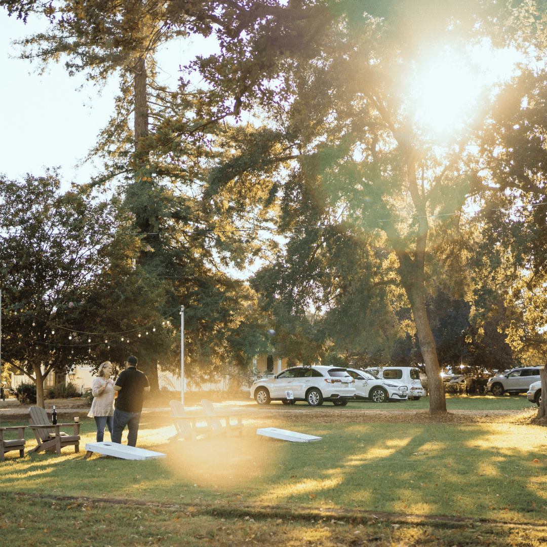 Best Photo Spots During the Almond Blossom Cruise