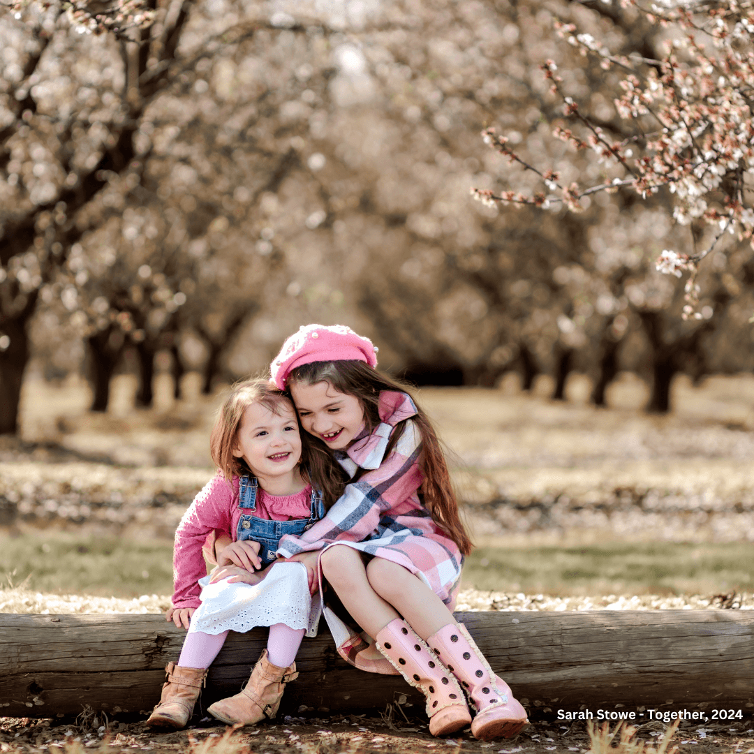 Best Photo Spots During the Almond Blossom Cruise