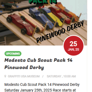 BOY SCOUTS PINEWOOD DERBY