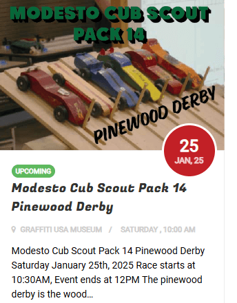 BOY SCOUTS PINEWOOD DERBY