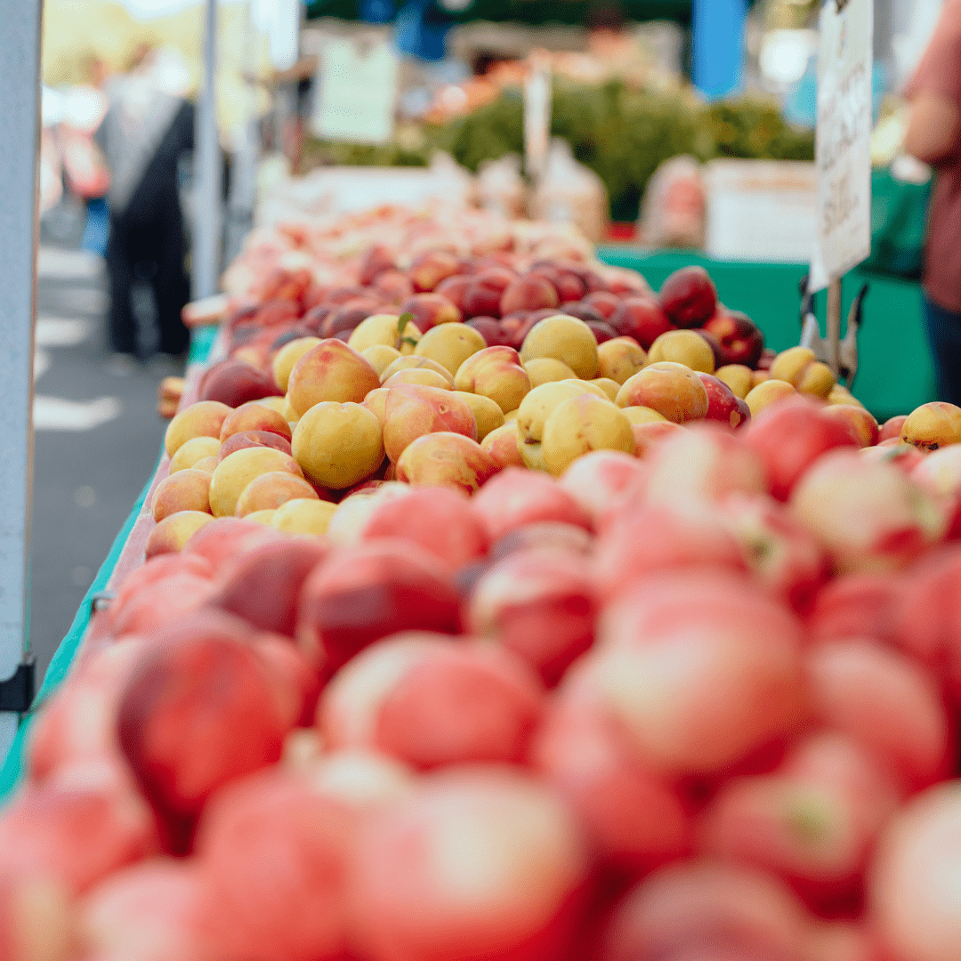 Taste of Modesto