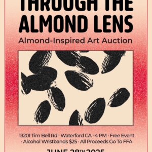 Through the Almond Lens Through the Almond Lens