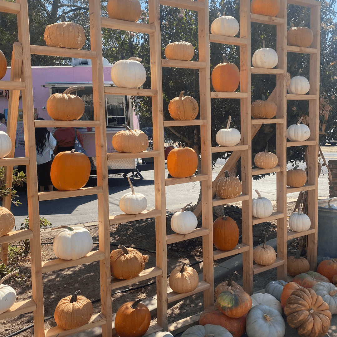 Fall Fun in Modesto & Beyond: 2025’s Best Pumpkin Patches, Events & Treats