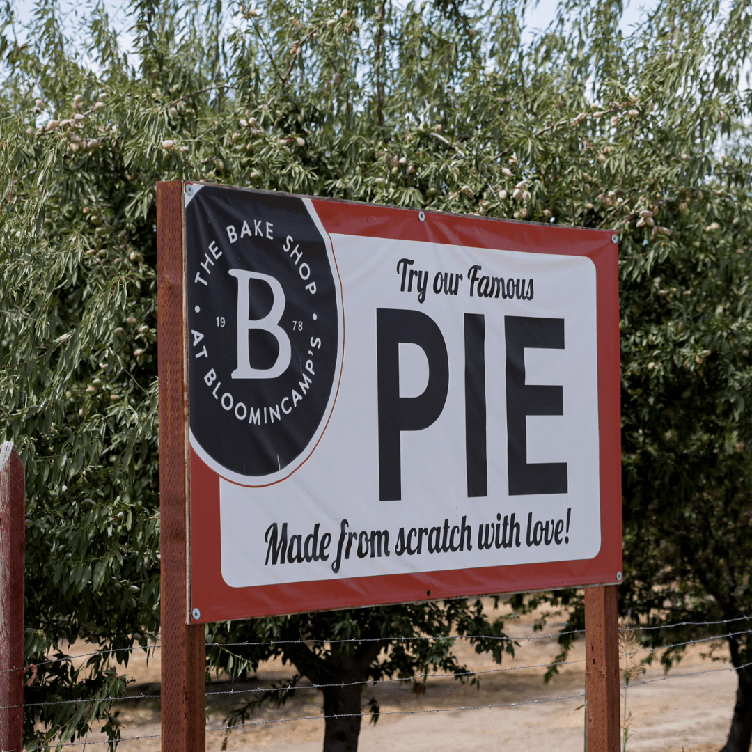 Fall Fun in Modesto & Beyond: 2025’s Best Pumpkin Patches, Events & Treats
