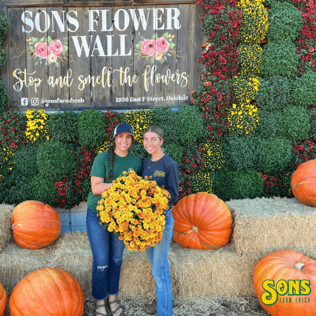 Fall Fun in Modesto & Beyond: 2025’s Best Pumpkin Patches, Events & Treats