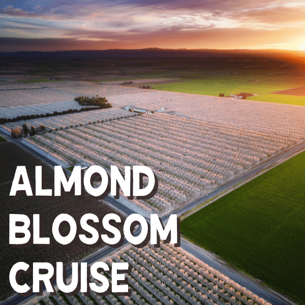 Aziz Ansari Landing Page