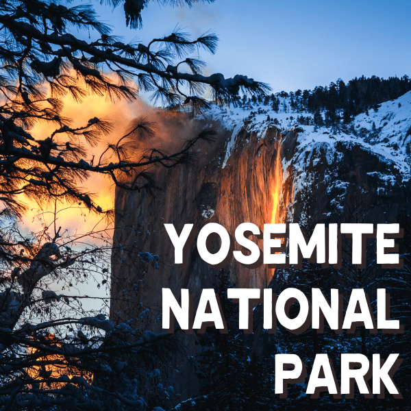 Aziz Ansari Landing Page