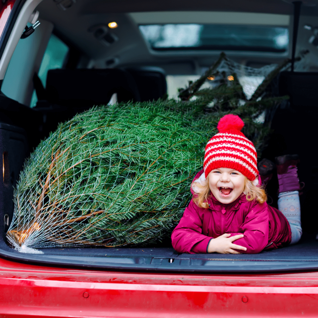 Sparkle, Skate, and Savor: Your Official Guide to MoCheer in Modesto Sparkle, Skate, and Savor: Your Official Guide to MoCheer in Modesto