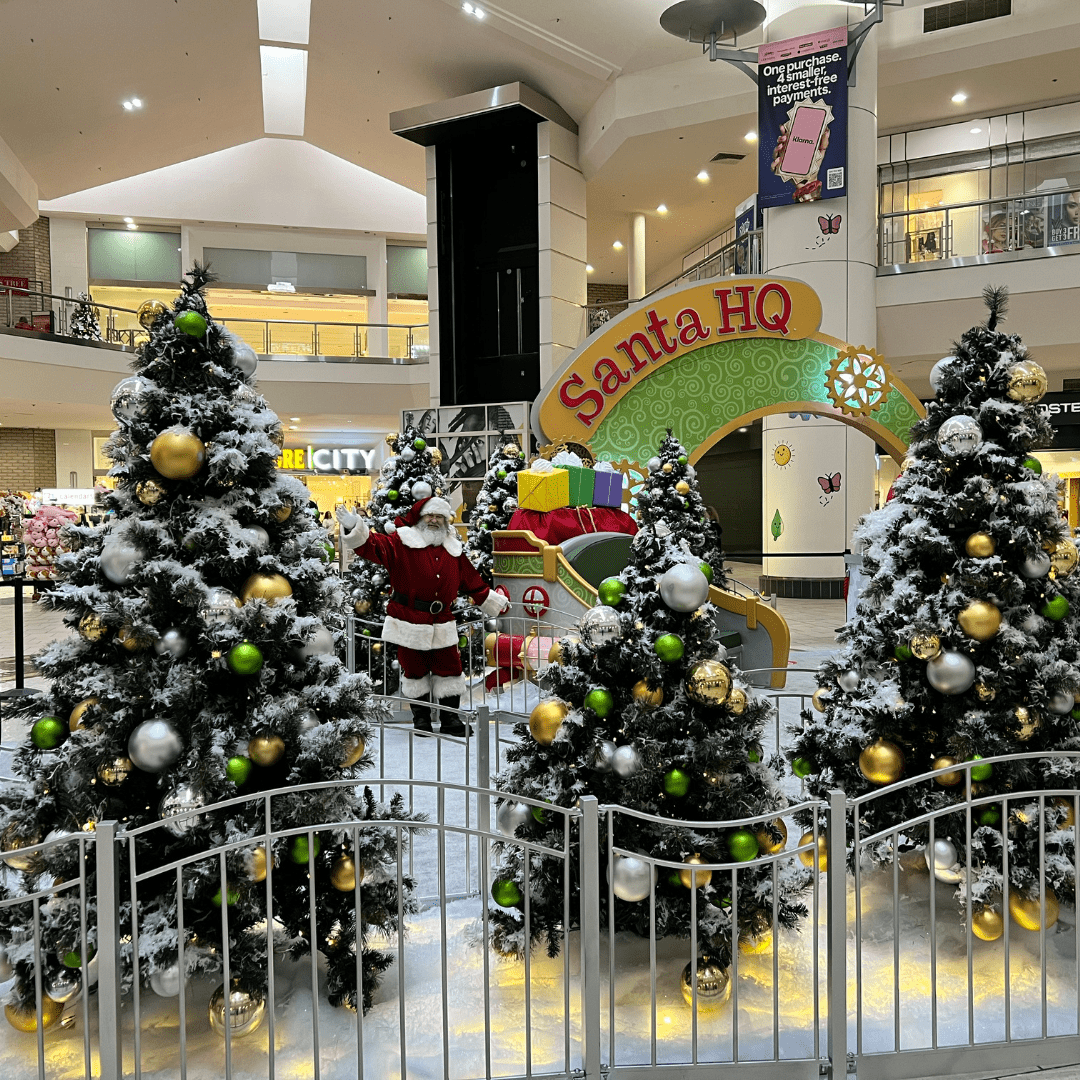 Sparkle, Skate, and Savor: Your Official Guide to MoCheer in Modesto Sparkle, Skate, and Savor: Your Official Guide to MoCheer in Modesto