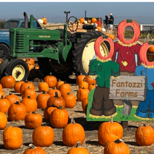 FANTOZZI FARMS CORN MAZE