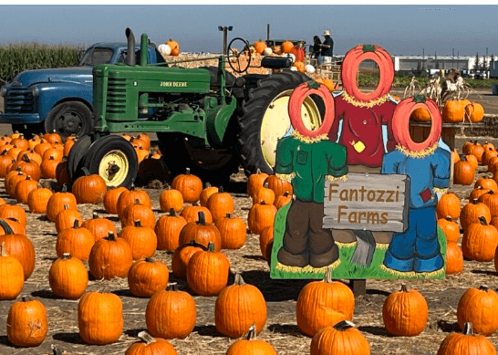 FANTOZZI FARMS CORN MAZE