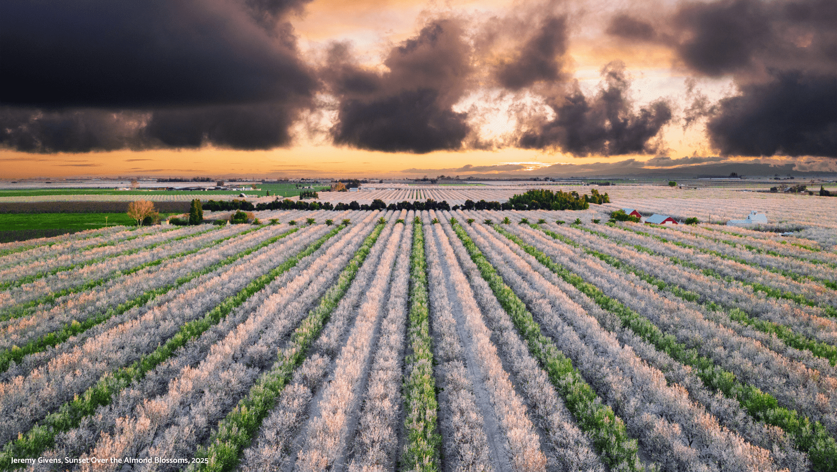 Your Ultimate Guide to Modesto’s Can’t-Miss Events in 2026!