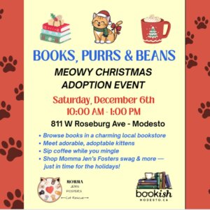 Books, Purrs, & Beans - Meowy Christmas Adoption Event at Bookish
