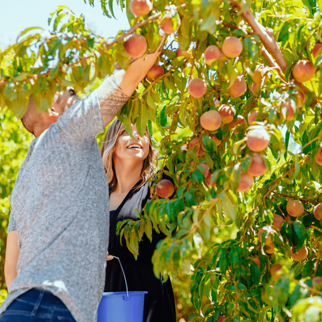 Your Ultimate Guide to Modesto’s Can’t-Miss Events in 2026!