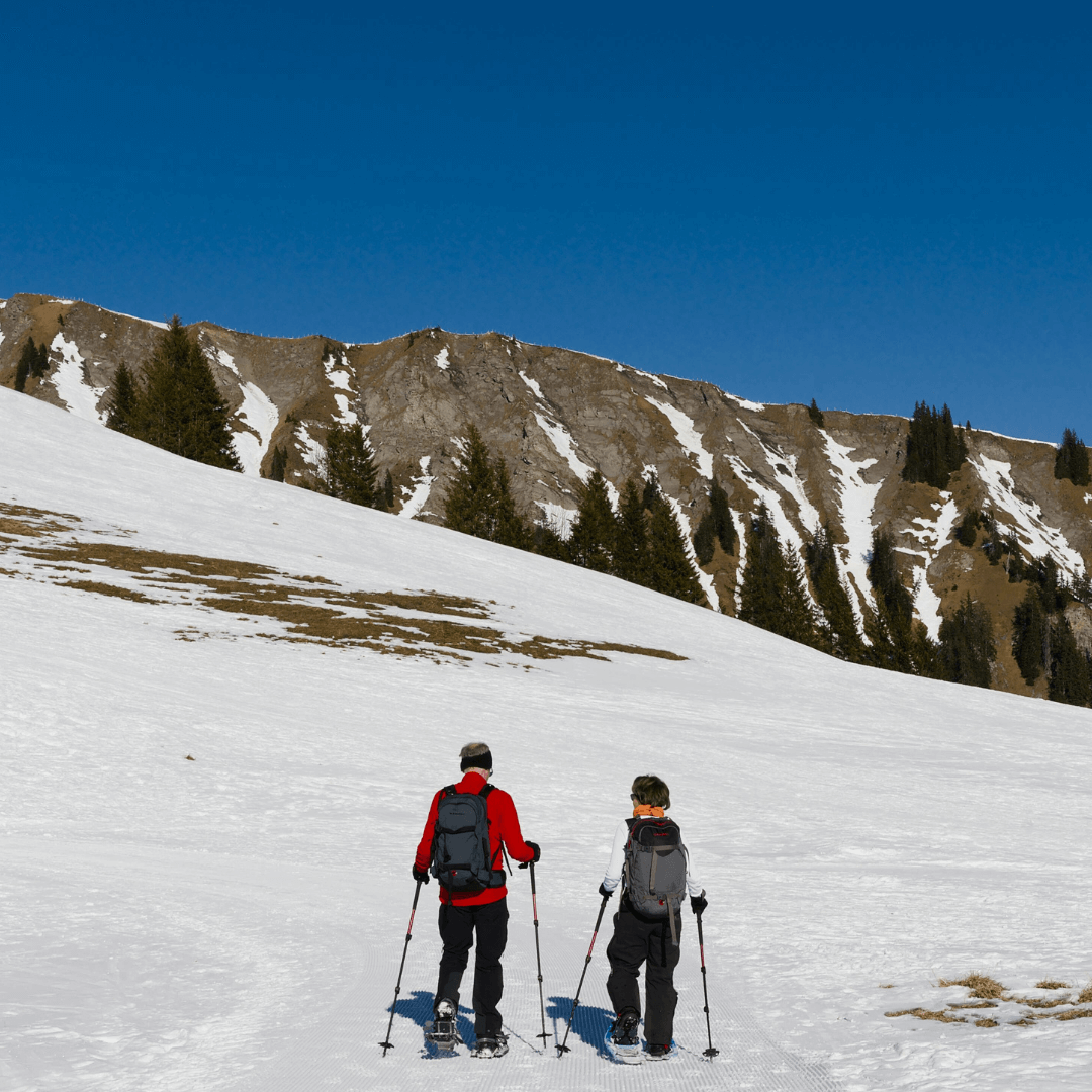 Winter in Yosemite: Snow, Spectacles & Stories — Just a Short Drive from Modesto 