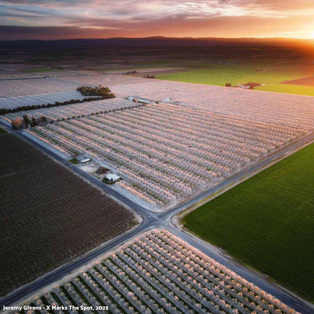 Your Ultimate Guide to Modesto’s Can’t-Miss Events in 2026!