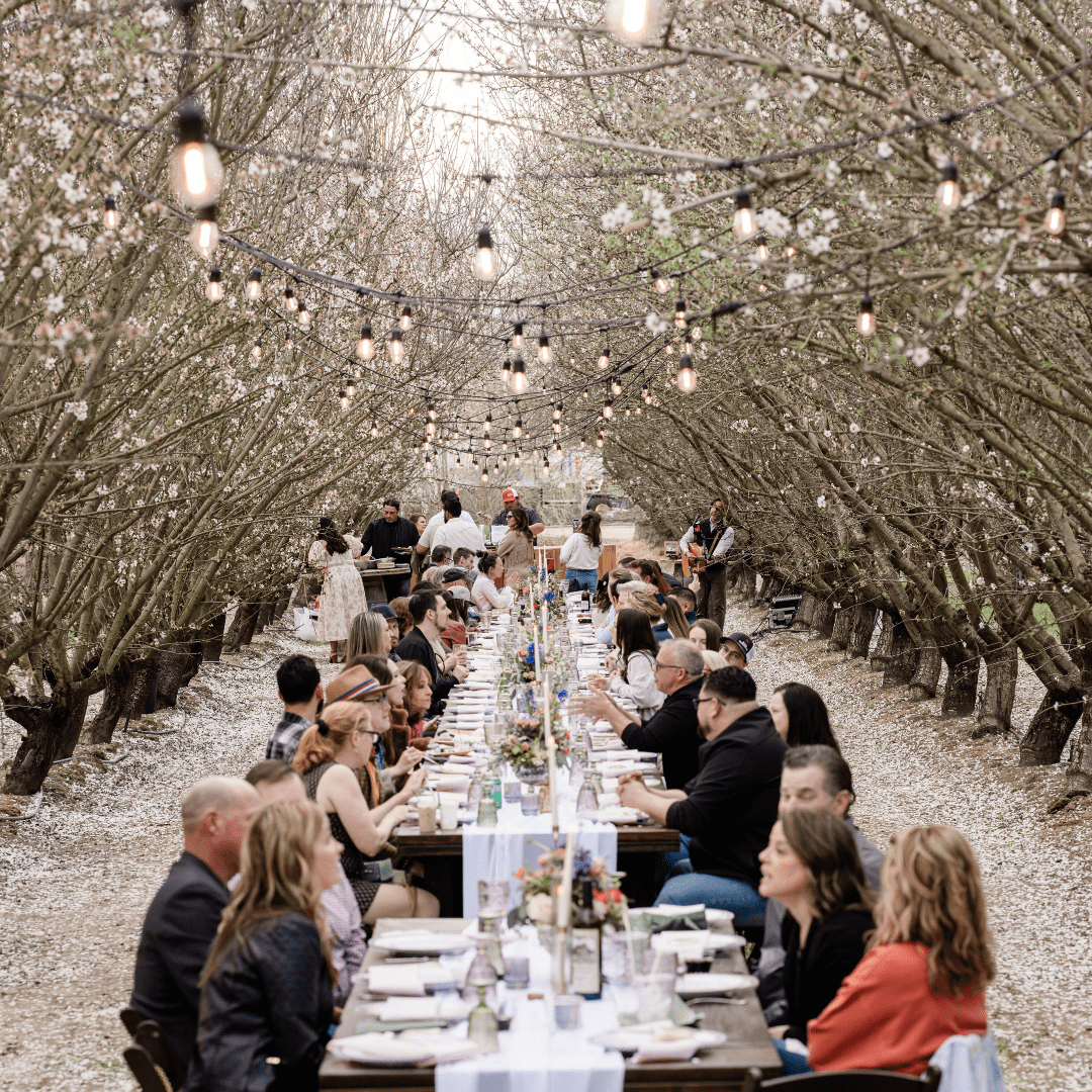 Your Ultimate Guide to Modesto’s Can’t-Miss Events in 2026!