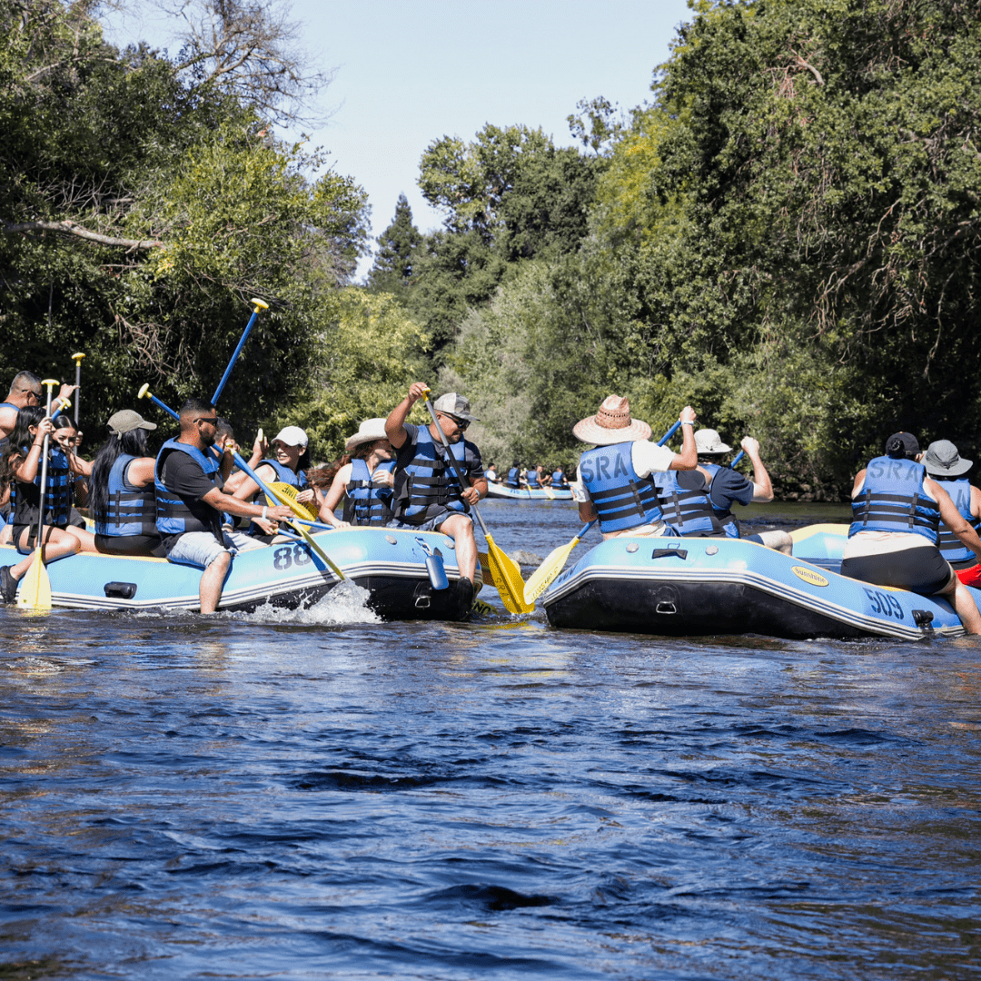 Your Ultimate Guide to Modesto’s Can’t-Miss Events in 2026!