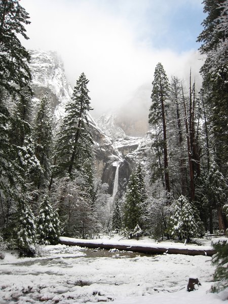 Winter in Yosemite: Snow, Spectacles & Stories — Just a Short Drive from Modesto 