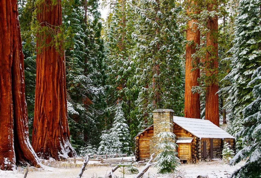 Winter in Yosemite: Snow, Spectacles & Stories — Just a Short Drive from Modesto 