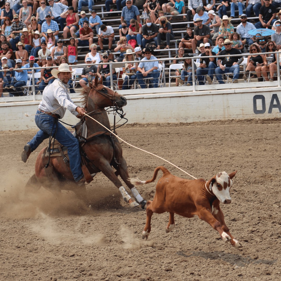 What To Do - Central Valley