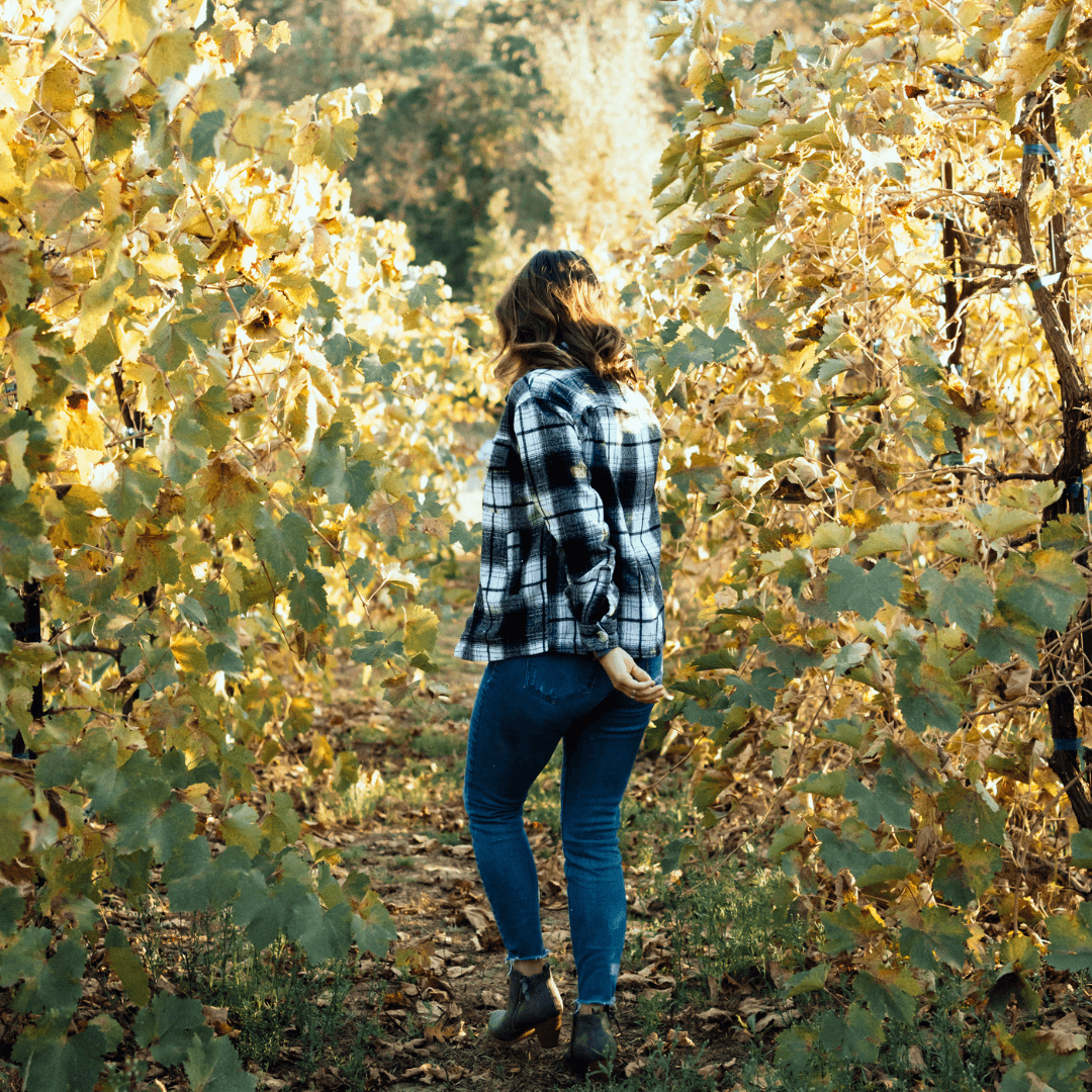 What To Do - Central Valley