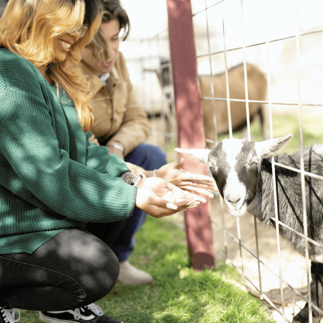 What To Do - Central Valley