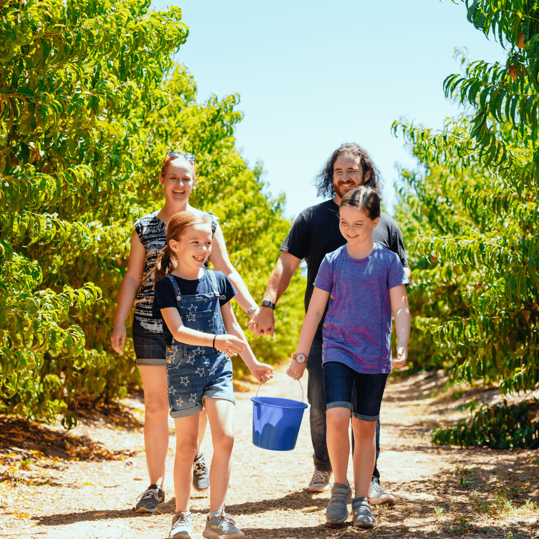 What To Do - Central Valley