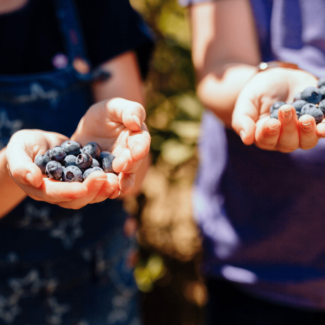 What To Do - Central Valley