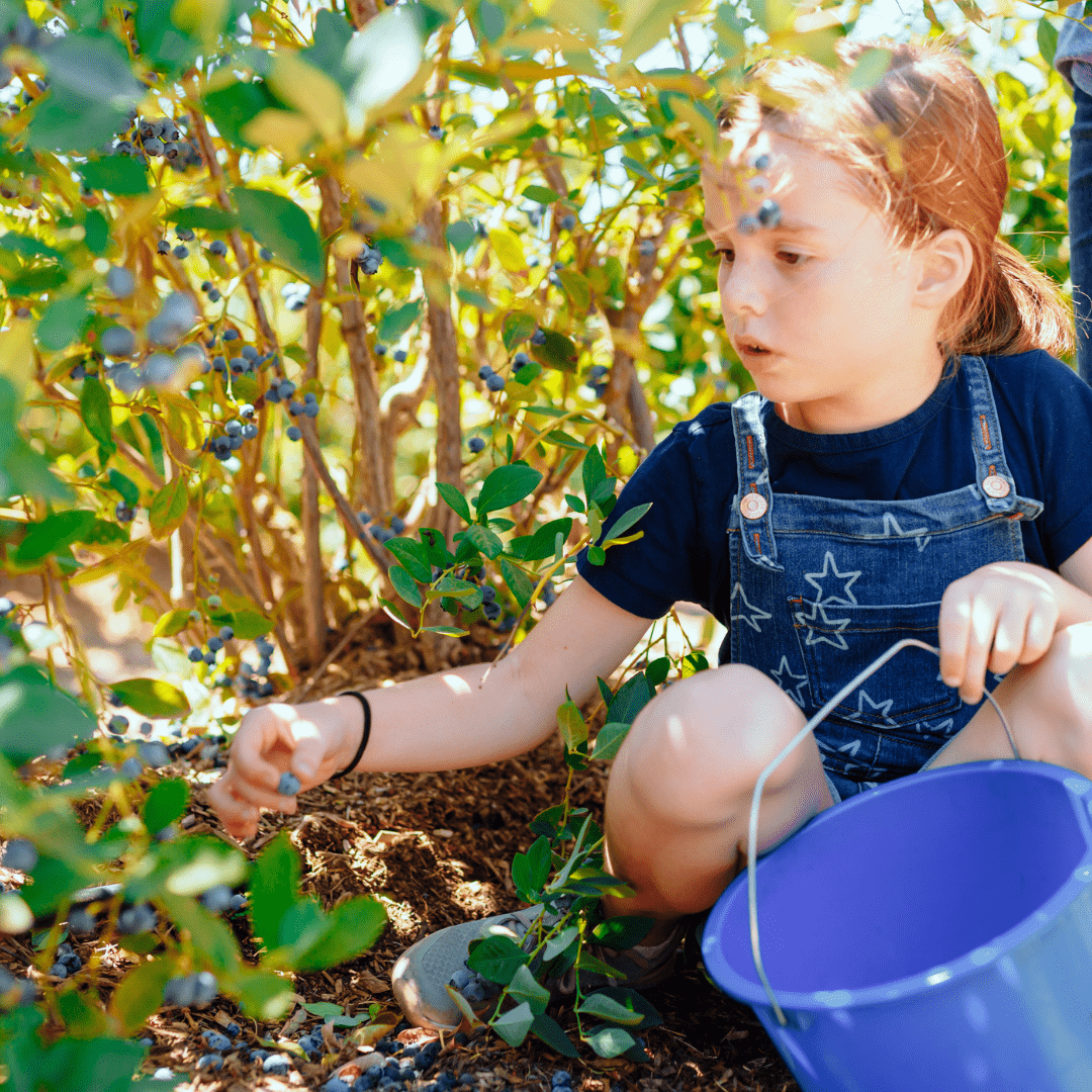 What To Do - Central Valley