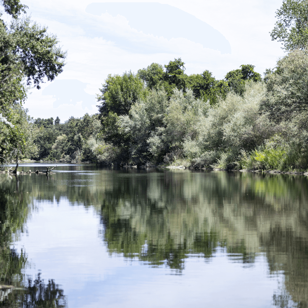 What To Do - Central Valley